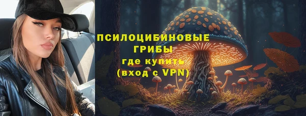 синтетический гашиш Алексеевка