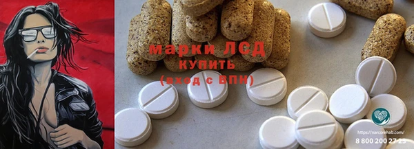 apvp Алзамай
