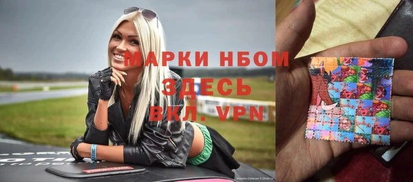 apvp Алзамай