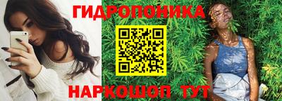 прущие грибы Ярцево