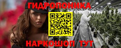 прущие грибы Ярославль