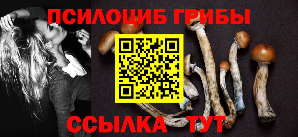 Галлюциногенные грибы мухоморы Карабулак